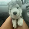 juju_SPAMMMMMM - @juliannabarfield5 - TikTok