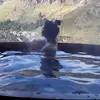 Julia Barone - @julia.baronenz - TikTok