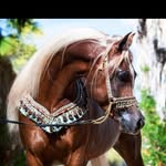 Julie Bartholomew - @julie.bartholomew.758 - Instagram