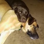 Julie Bartley - @julie.bartley.756 - Instagram