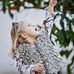 Julia Cate's Warriors Bash &amp; Gumbo Cook-off - Facebook