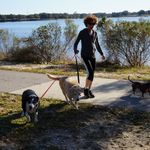 Julie Batchelor - @catalystdesigns1 - Instagram