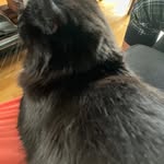 Julia Beatty - @blue_squid_person - Instagram