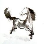 Julia Beatty - @equinut - Instagram