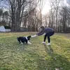 Julia Beatty - @aggressivealpaca33 - TikTok