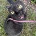 Julia Pawlak - Facebook