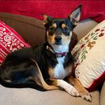 Julie Benefield - @julielynn79 - Instagram