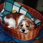 Julie Benefield - @rangerjb1 - Instagram