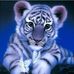 Julia Benoit - Facebook