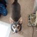 Julia Bentley - Facebook