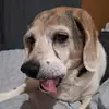 Julia Binkley - @juliabinkley2 - TikTok