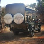 Julia Bishop - @hodi_hodi_bushcamp - Instagram