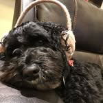 Julie Blackman - @julie.blackman.2426 - Instagram