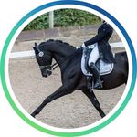 Julia Bögner (28) - @julia_boegner_dressage - Instagram