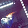 julia bona - @jbona5 - TikTok