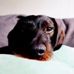 Julia & Bootsmann - @julia_und_bootsmann - Instagram