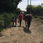 Julia Boyce - @jules2boyce - Instagram