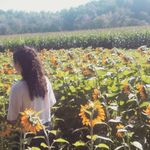 Julia Boyce - @julia5paris - Instagram