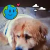 juliaboyce1 - @juliaboyce1 - TikTok