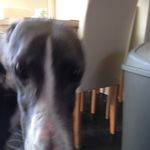 Julie Boylan - @boylanjulie - Instagram