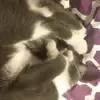 Julia - @juliamoebrandy - TikTok