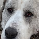 Julia Breen - @breen1301 - Instagram