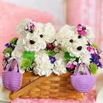 Julia Briones - Facebook