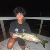 Julian Briones - @julianbriones54 - TikTok