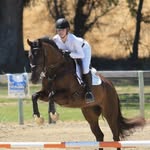 Julia Brittain - @juliabrittain_eventing - Instagram