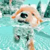Julia Brown - @preppy.stuff_101 - TikTok
