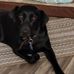 Julie Broyles - Facebook