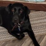 Julie Broyles - @julie_broyles____ - Instagram