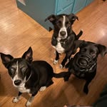 Julia Brubaker - @brubakej - Instagram