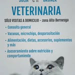 Julia Brüner - @veterinariaaltobernesga - Instagram
