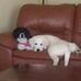 Julia Wieber Bruner - Facebook