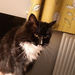 Julie Bunting - @bunting4164 - Instagram