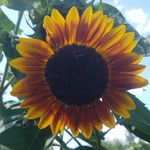 Julie Burdette Jenkins - @julieburdettejenkins - Instagram