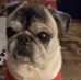 Julia Burkett - Facebook