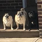 Julie Burkett - @julie.burkett.671 - Instagram