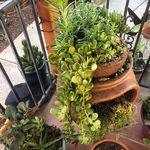 Julie Burkett Ibanez - @julieburkettibanez - Instagram