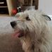 Julia Burnham - Facebook
