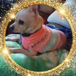 Julie Burnside - @julie.burnside.39 - Instagram