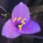 Julia Burrows - @randomadventures_ - Instagram