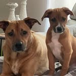Julie Bussell - @julesb1177 - Instagram