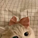 Julia Calvin - Facebook