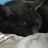 juliaandcalvinchaulk - @juliaandcalvinchaulk - TikTok