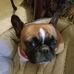 Julie Carmichael - Facebook