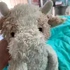 juliacarruthers123 - @juliacarruthers123 - TikTok