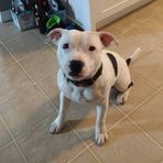 Julie Carruthers - Facebook