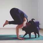 giuliasgarbi - @julia.catenacci - Instagram